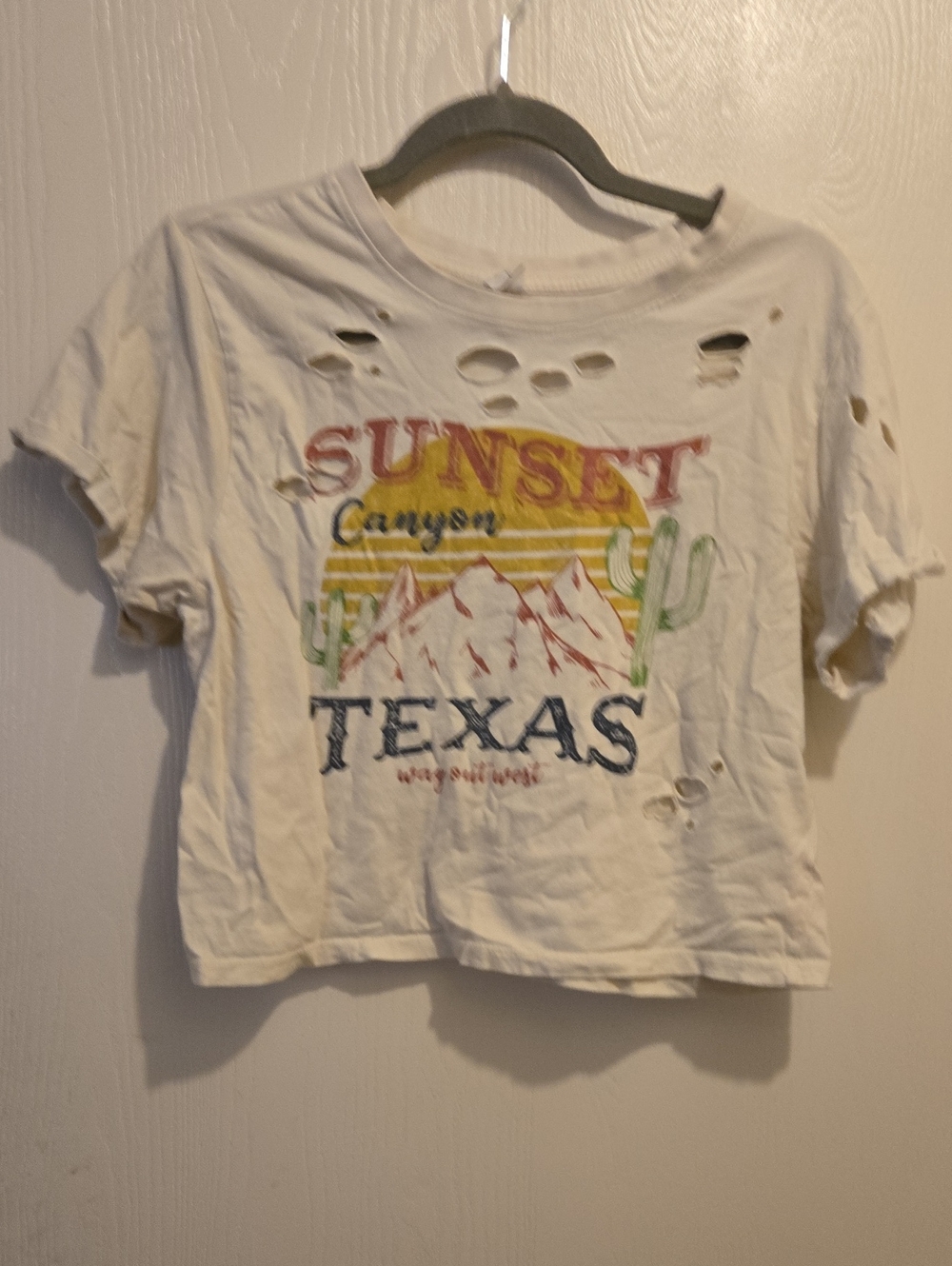 Sunset Canyon Texas Graphic Tee - White - L14